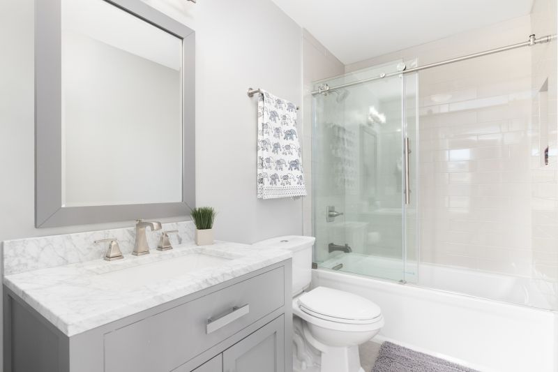 Top Tub To Shower Conversion Companies in Denver, CO
