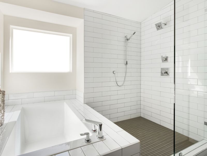 Top Tub To Shower Conversion Companies in Denver, CO