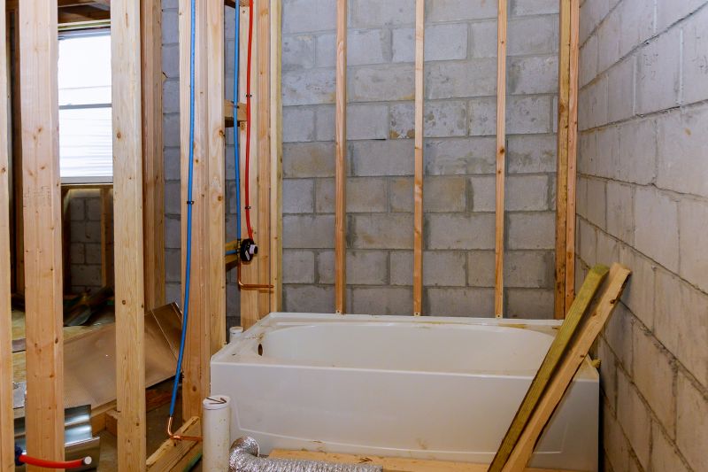 Top Tub To Shower Conversion Companies in Fort Lupton, CO